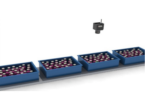 饮料瓶数量检测